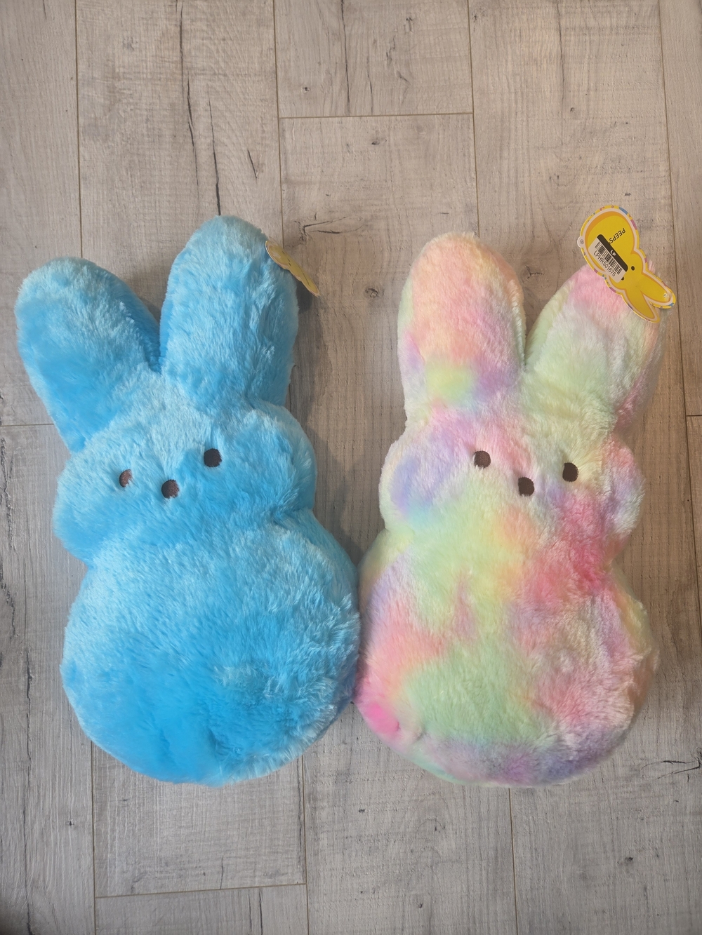Mr&Mrs Plush Peeps Pillows-Blue & Rainbow Pastel 18"x8"